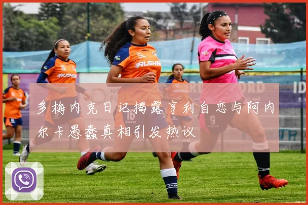 多梅内克日记揭露亨利自恋与阿内尔卡愚蠢真相引发热议